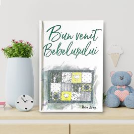 Bun venit bebelușului