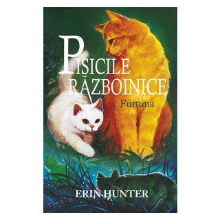 Cartea 4 Pisicile Războinice. Furtuna