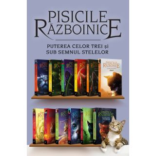 Pachet cărțile 13-24. Pisicile Războinice