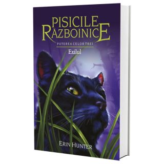 Cartea 15 Pisicile Războinice. Exilul