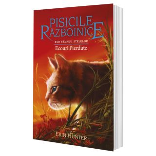 Cartea 20 Pisicile Războinice. Ecouri Pierdute