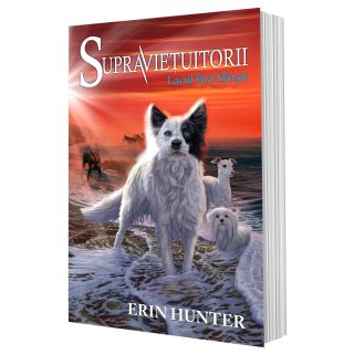 Cartea 5 Supraviețuitorii. Lacul fără sfârșit