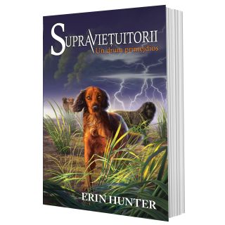 Cartea 4 Supraviețuitorii. Un drum primejdios