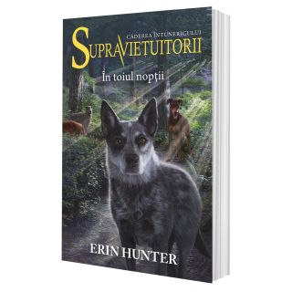 Cartea 8 Supraviețuitorii. În toiul nopții